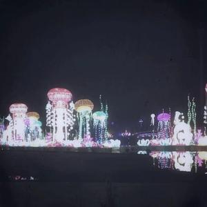 青青青原手机频在线观看
